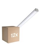 Opakowanie 12x Philips Oprawy Hermetyczne LED WT060C 20W 2500lm - 840 Zimna Biel | 120cm