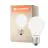 Ledvance Classic LED E27 Gruszka Włókno Matowy 7.2W 1521lm - 827 Bardzo Ciepła Biel | Zamienne 100W