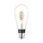 Eglo LED E27 Edison Przezroczysty Włókno 7.5W 806lm - 830 Ciepła Biel + RGB | Zigbee Ściemnianie - Zamienne 60W