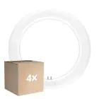 Opakowanie 4x Ledvance Rura LED T9 Value Okólnik (EM/Mains) 11W 1320lm - 840 Zimna Biel | Zamienne 22W