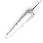 Philips Oprawy Hermetyczne LED CoreLine WT120C G2 29W 4000lm - 840 Zimna Biel | 120cm 